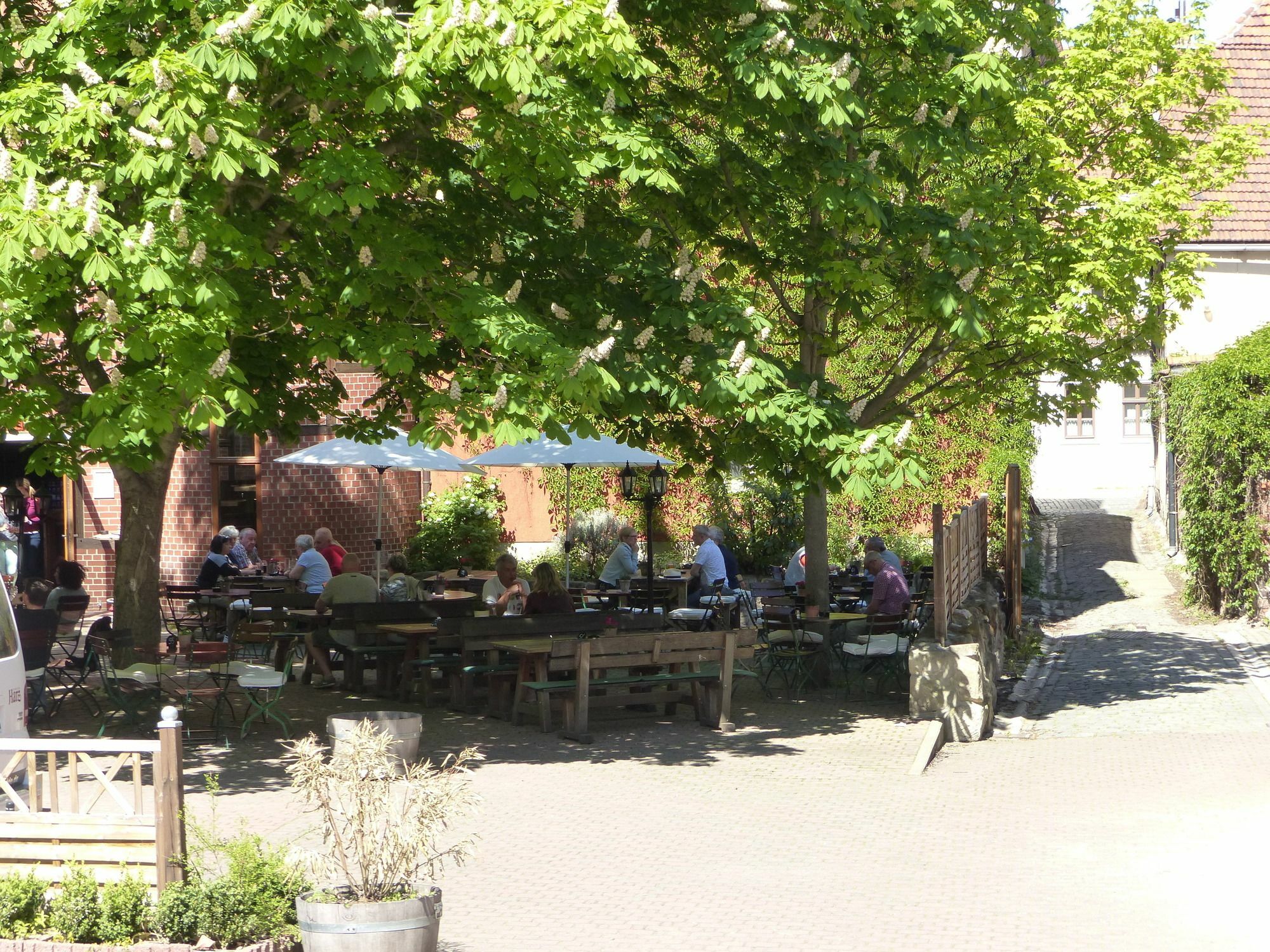 Hotel Zum Brauhaus Кведлинбург Екстериор снимка